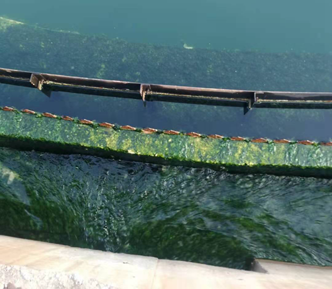 QQ圖片20230221104016